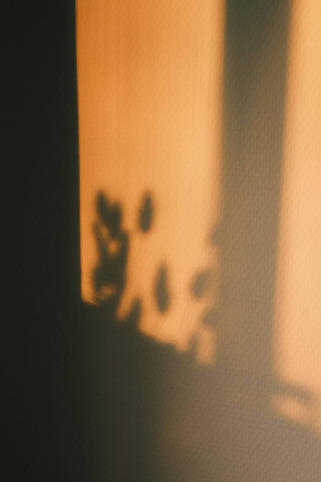 手办怎么清洗